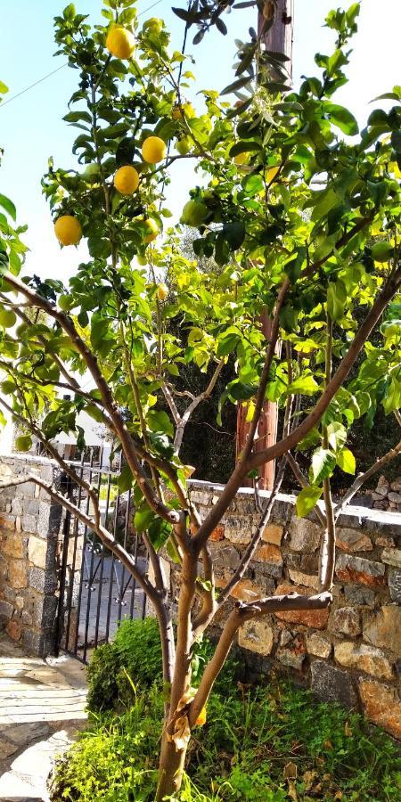 Traditional House In Elounda מראה חיצוני תמונה